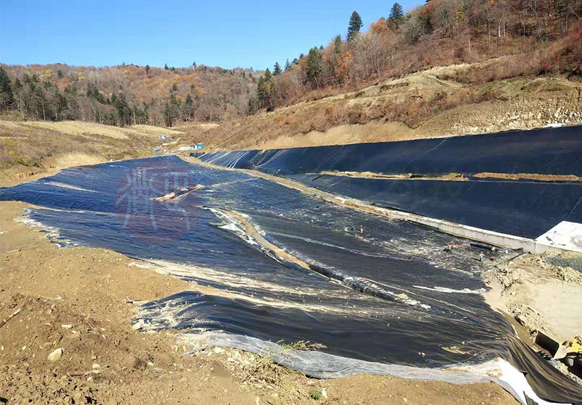 1604540698142319.jpg A3.jpg