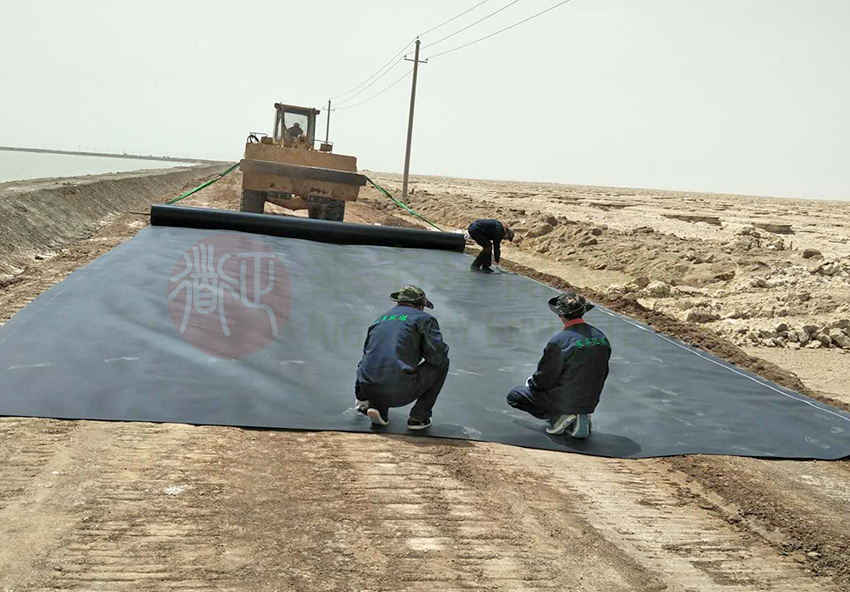 1604540712651148.jpg A1.jpg