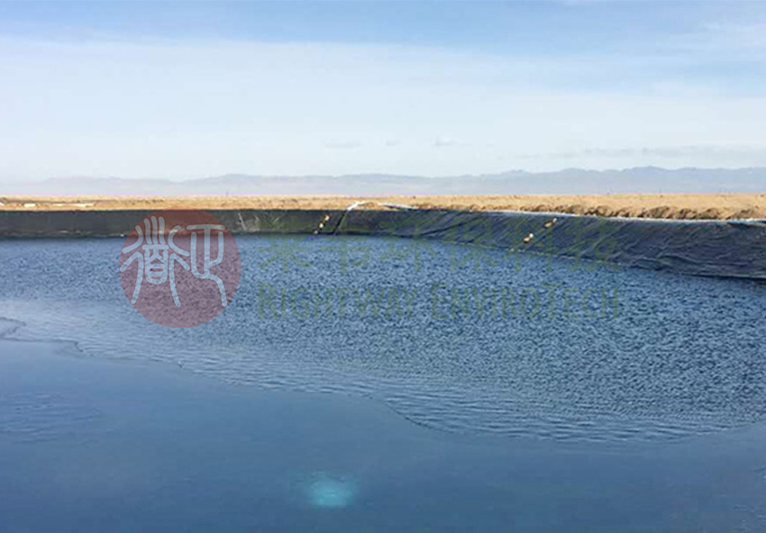 1605497460996131.jpg E2.jpg