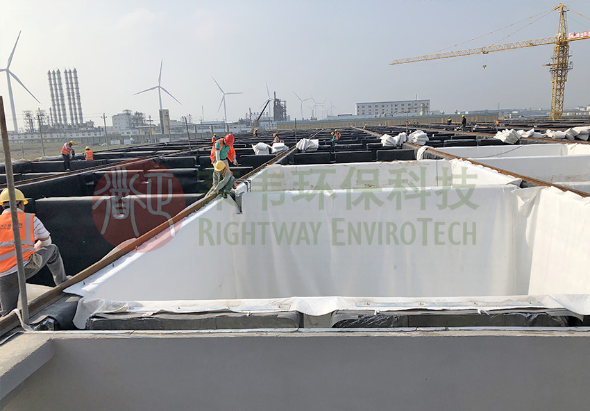 1620959319867515.jpg 主圖.jpg