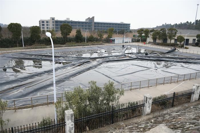 1634794133110267.jpg DSC_0669.JPG