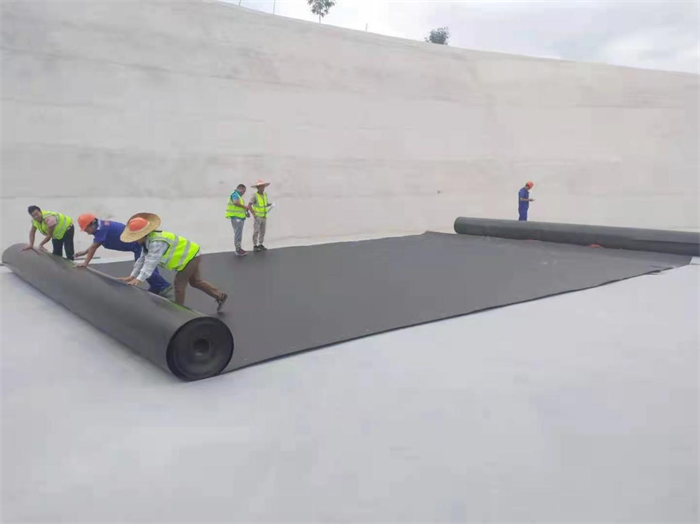 1640739862119336.png image.png